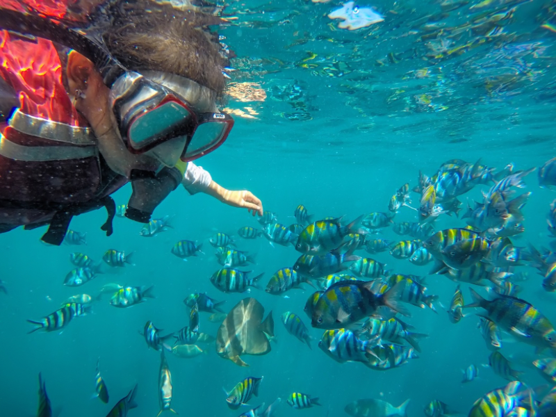 Snorkeling at Bangsring